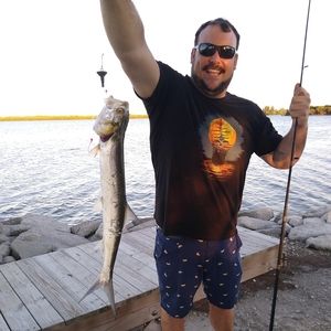 Meet your Posher, Jack